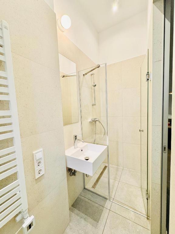в центрі Apartment *